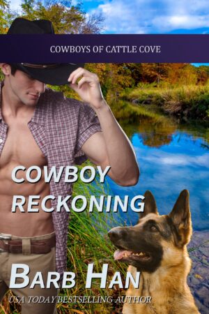 Cowboy Reckoning - Barb Han (2020)