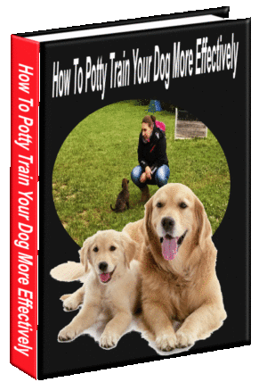Dog Potty Training