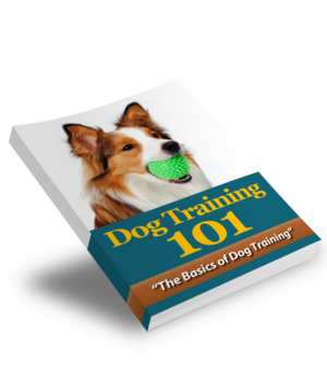 Dog Training 101