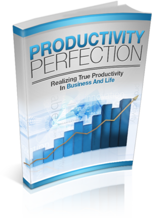 Productivity Perfection