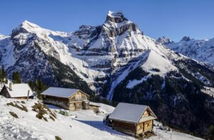 Travel Viral Reels for Social Media Boosting x650